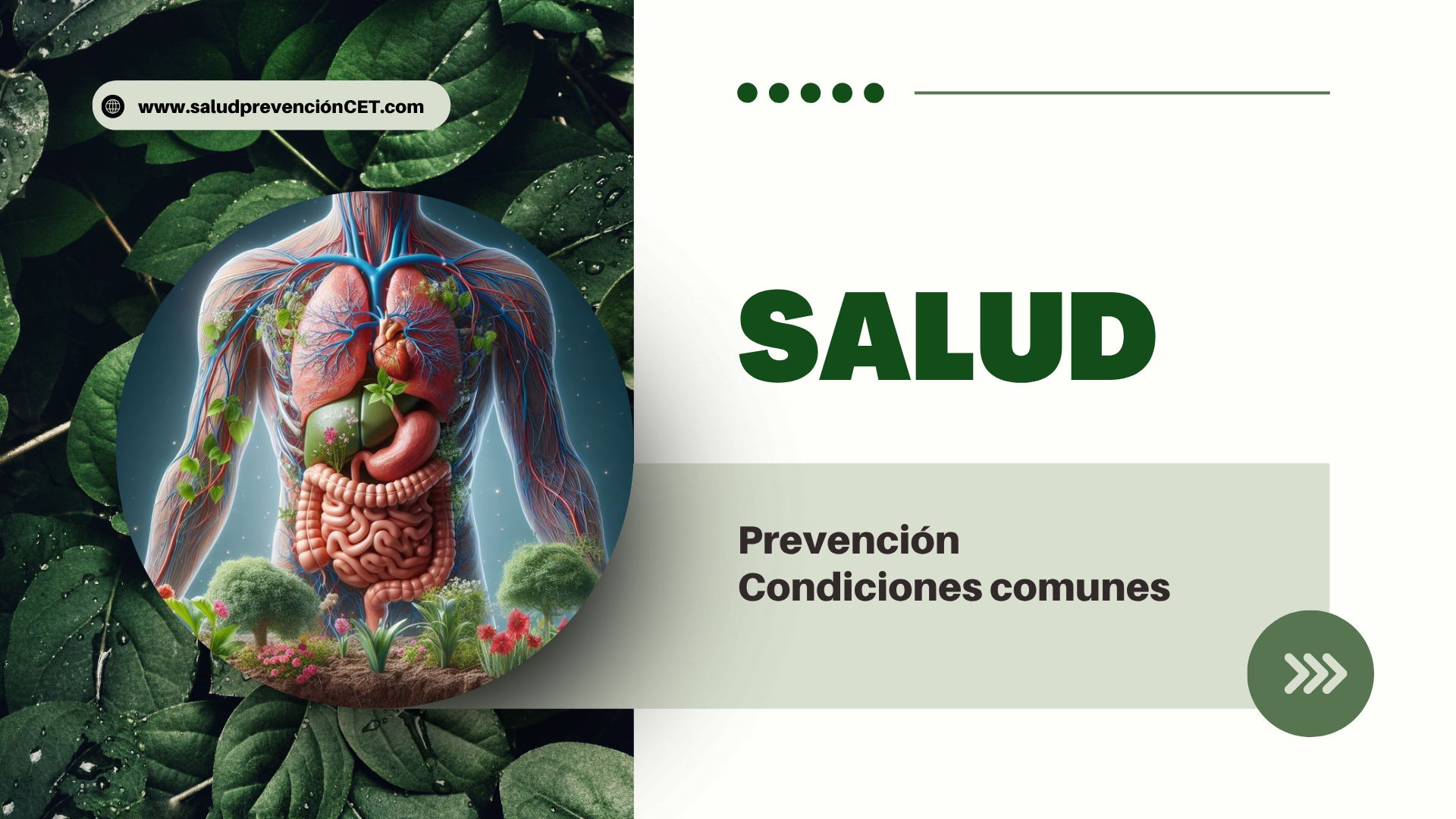 Salud y Prevención